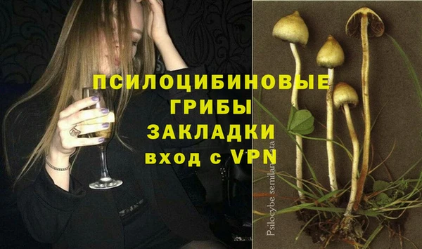 гашик Богданович